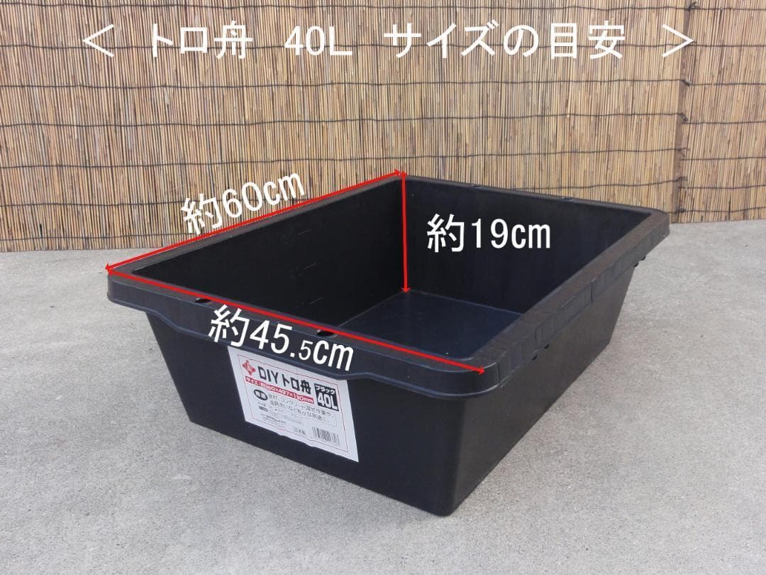 ビオトープ 40Ｌ　トロ舟木枠セット（フラット防鳥網付き）　メダカ・金魚飼育用