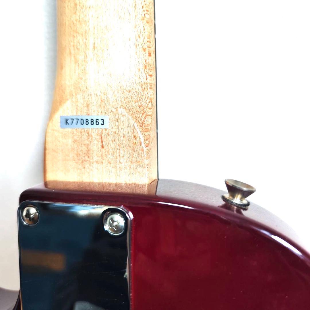 Gibson Maestro エレキギター サンバースト