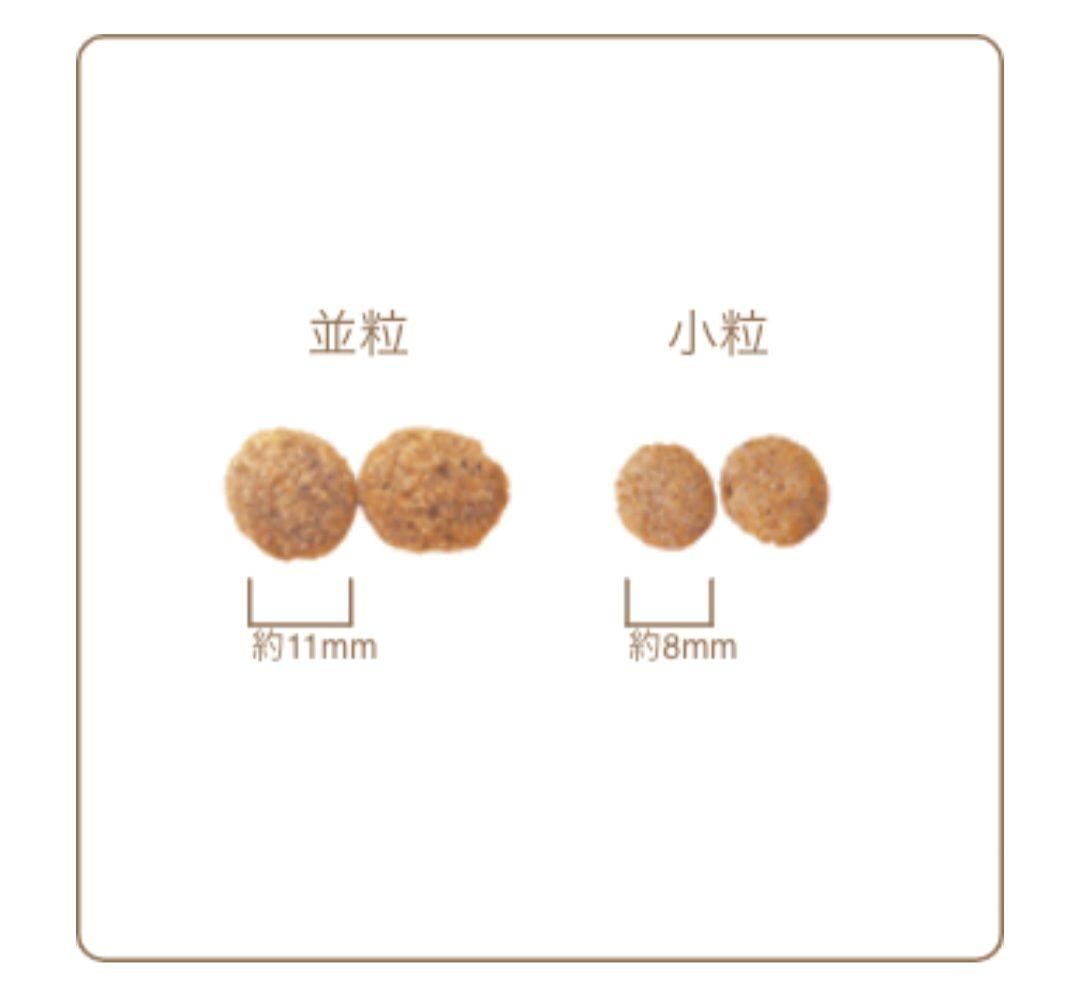 【24時間以内発送】AZ アゼット アレルギーケア ラム＆ポテト 10kg ２袋