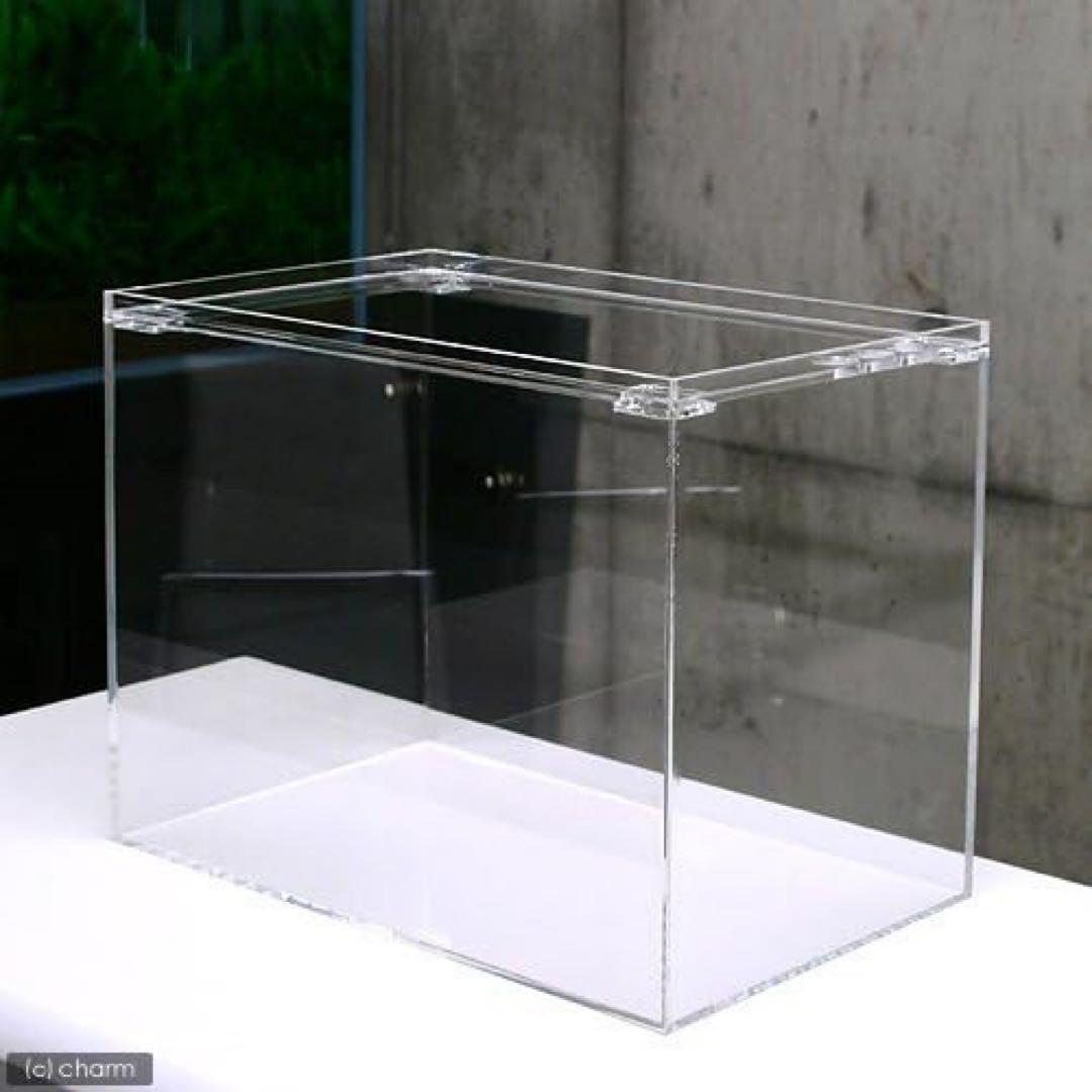 アクリル水槽 中型 オープントップ
