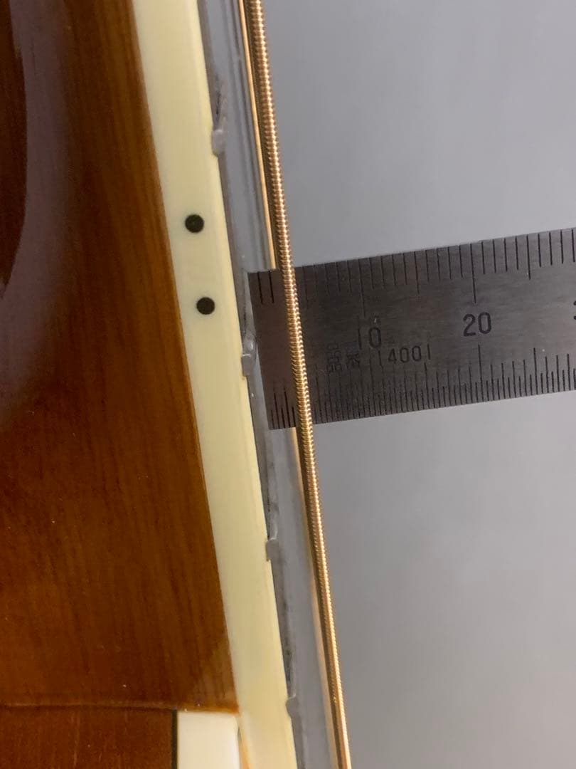Samick Greg Bennett ASOM オール単板 アコギ