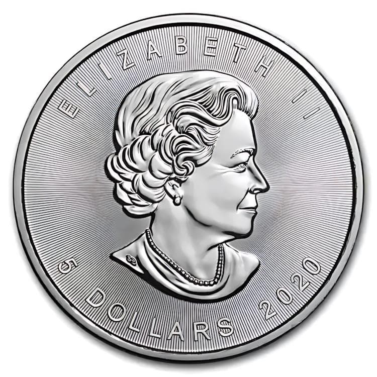 2020 カナダ メイプルリーフ 銀貨 1オンス 38mm クリアケース付きBU