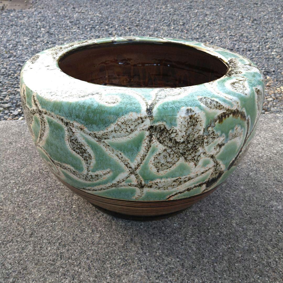 エメラルドグリーン 葉 花 草 火鉢 めだか鉢 金魚鉢