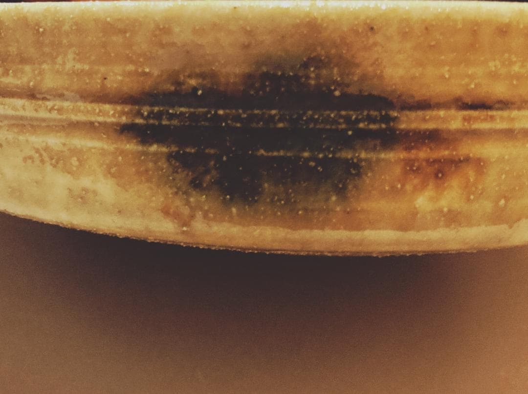 【値下げ】 加藤唐三郎 黄瀬戸 中鉢  【未使用品】【真作保証】