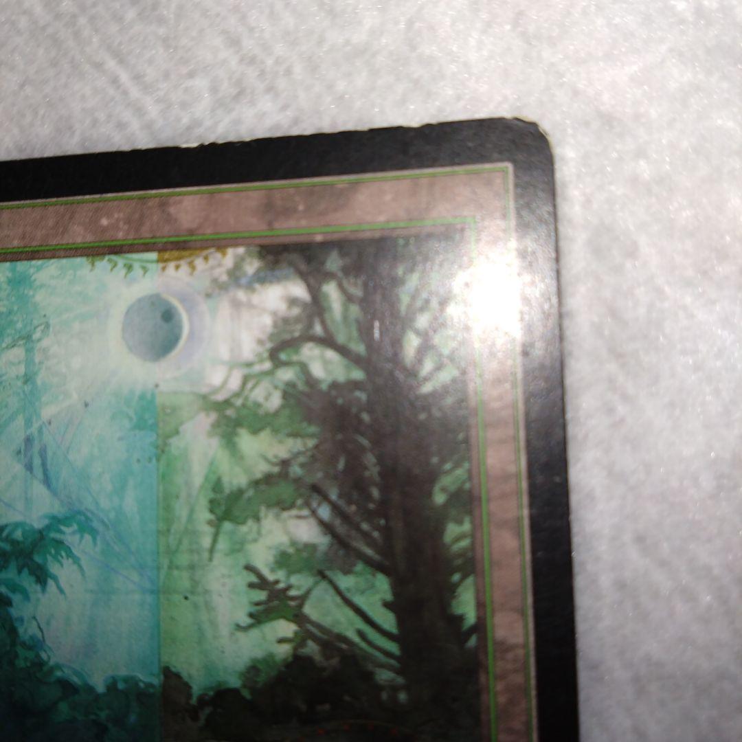 mtg guruランド　グルランド　森　PLD