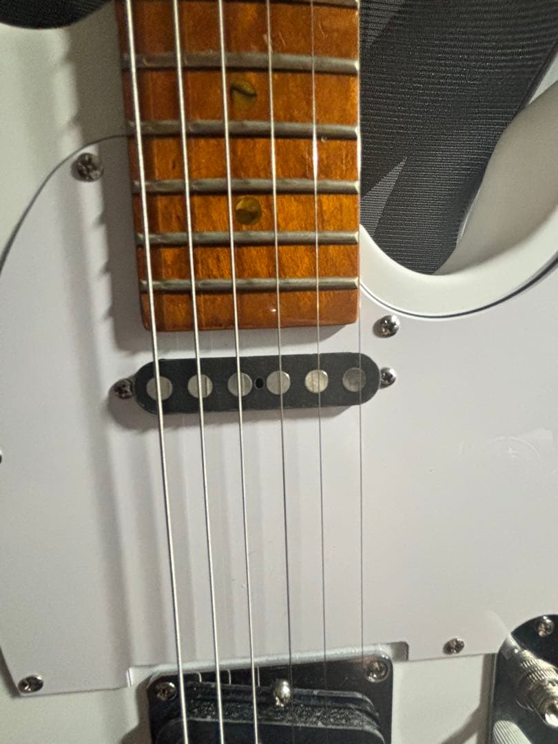 コンポーネントSCHECTER MONSTERTONE + ダンカンSTL-1