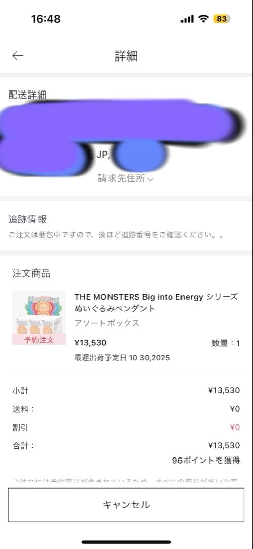 LABUBU ラブブ Big into Energy アソートボックス 正規品