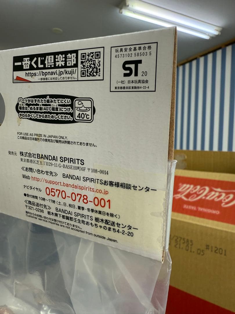 ひまわり出品