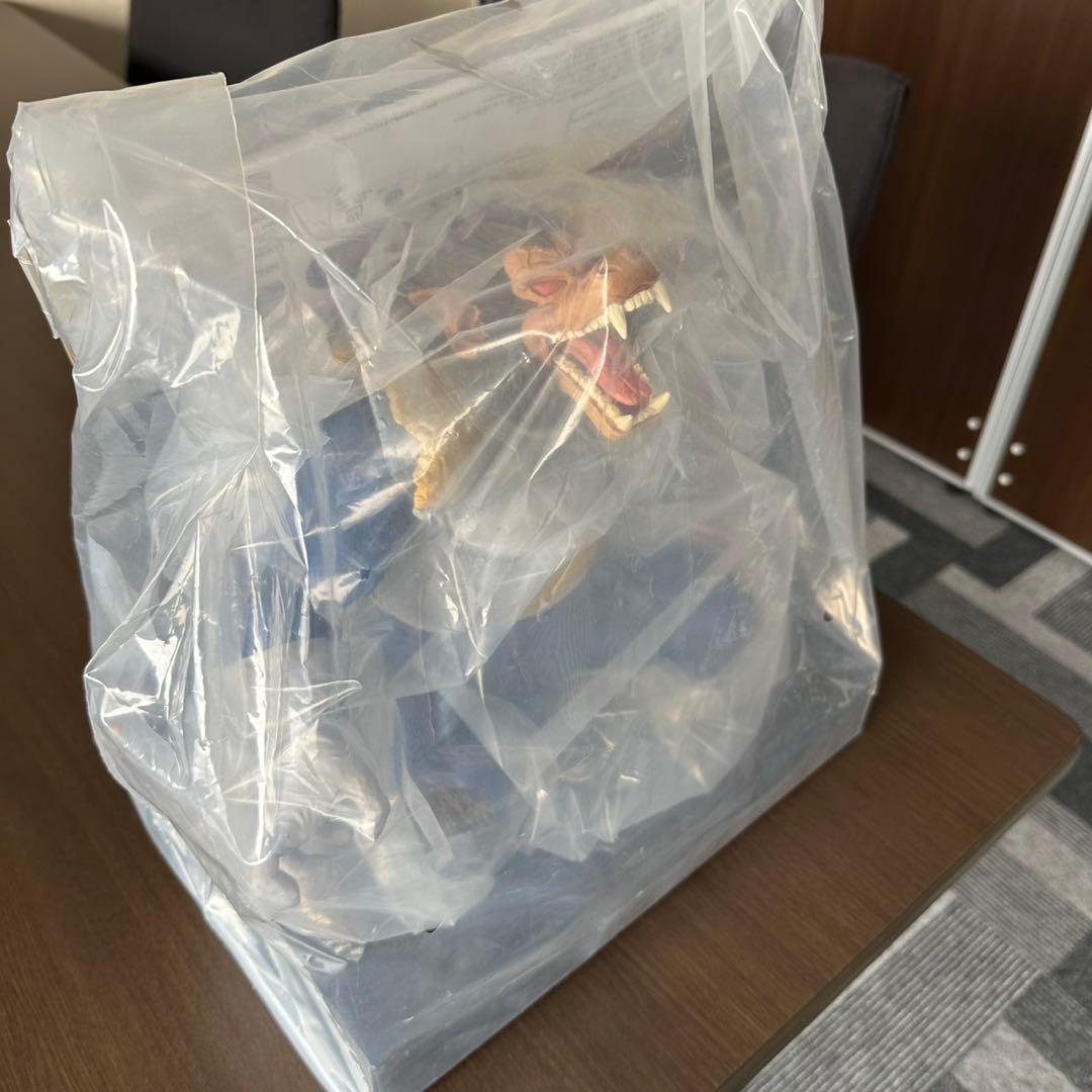 ひまわり出品