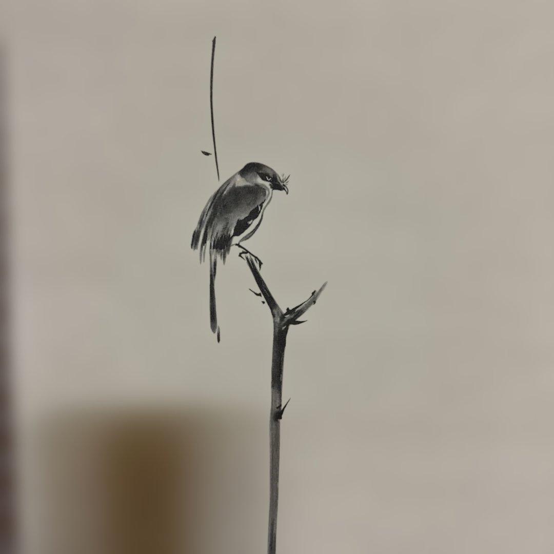 掛け軸 宮本武蔵 書画名品選 三幅対 枯木鳴鵙図・紅梅鳩図・布袋観闘鶏図