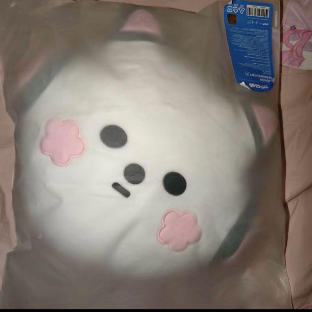 LE SSERAFIM ルセラフィム SAKKUKKU クッション 宮脇咲良