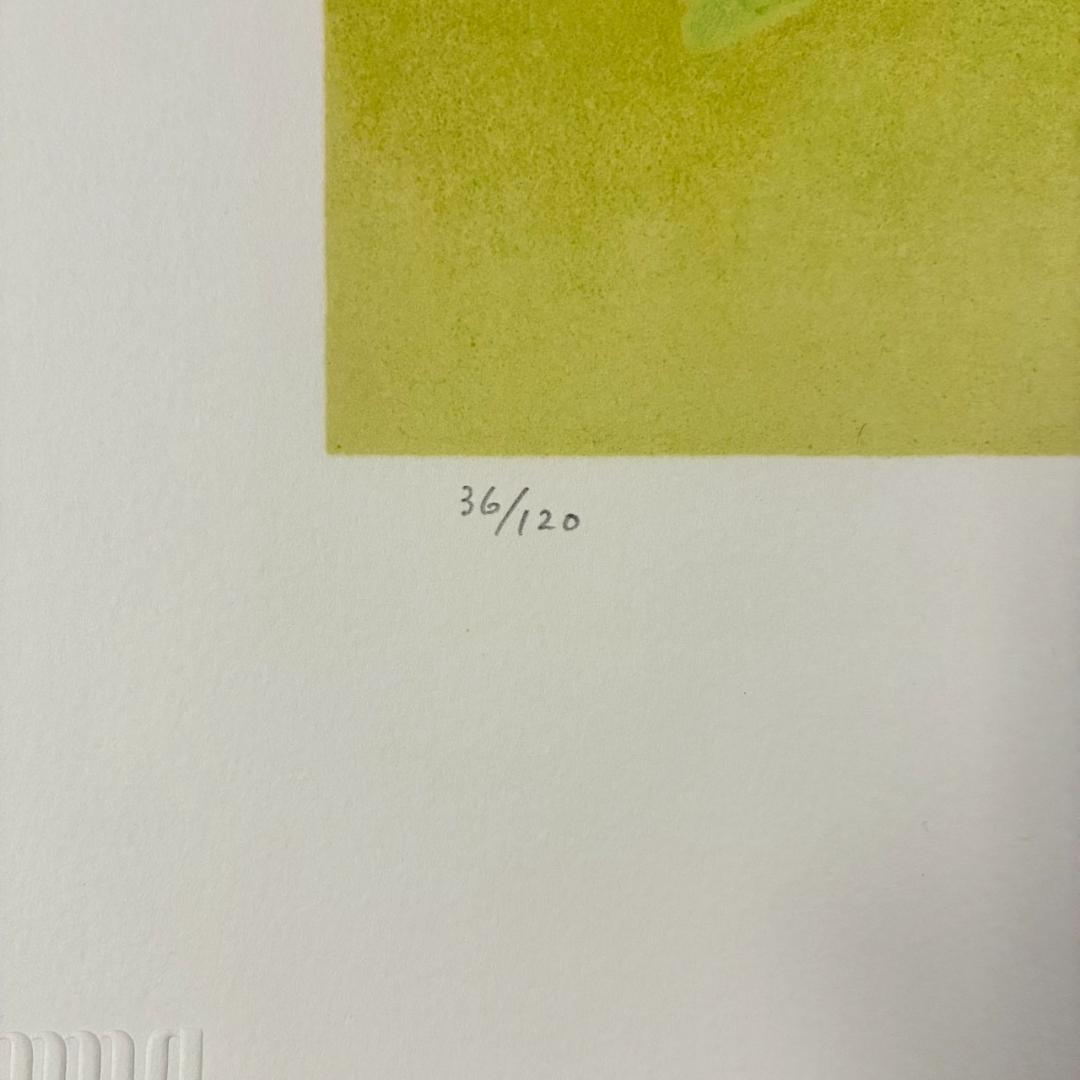 美品 上村松篁「春野」リトグラフ 直筆サイン・印章入 保証書有 花鳥画 上村松園