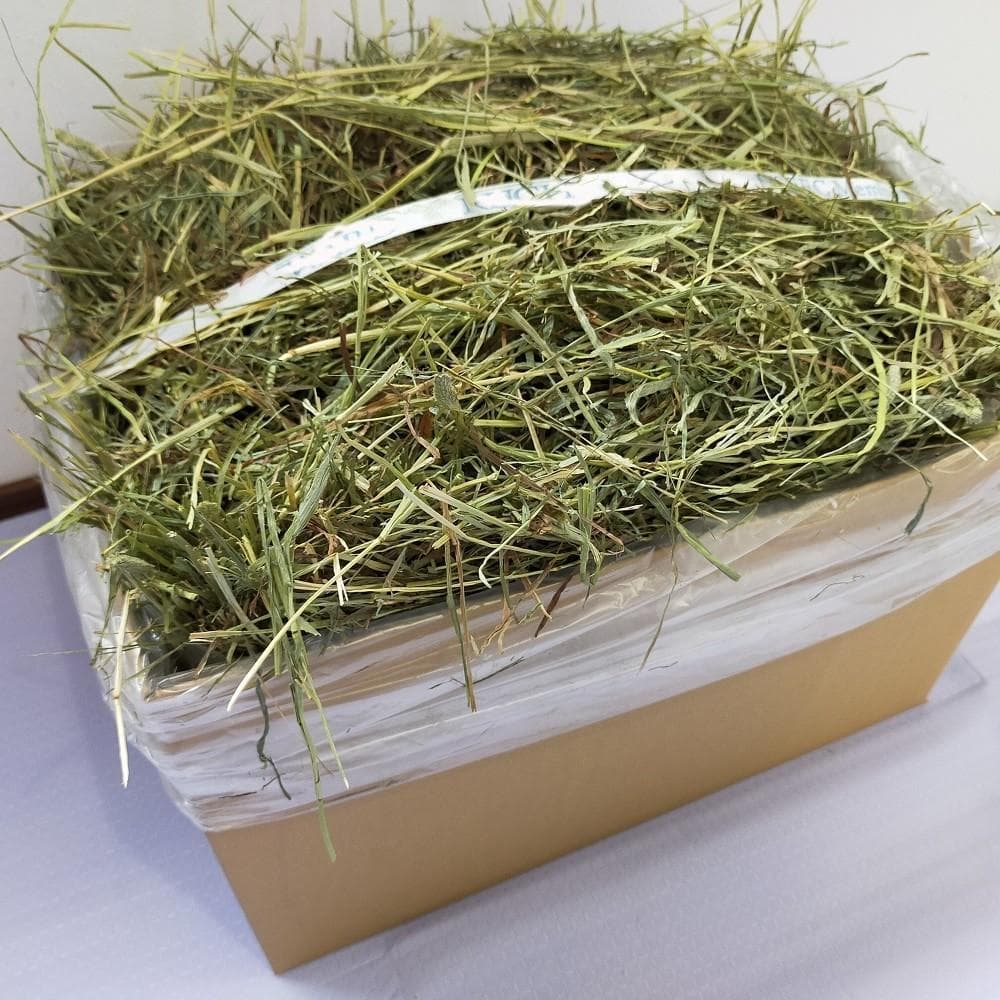 【家計応援価格】US産 チモシー 60kg ２番刈 ソフトSプレミアム
