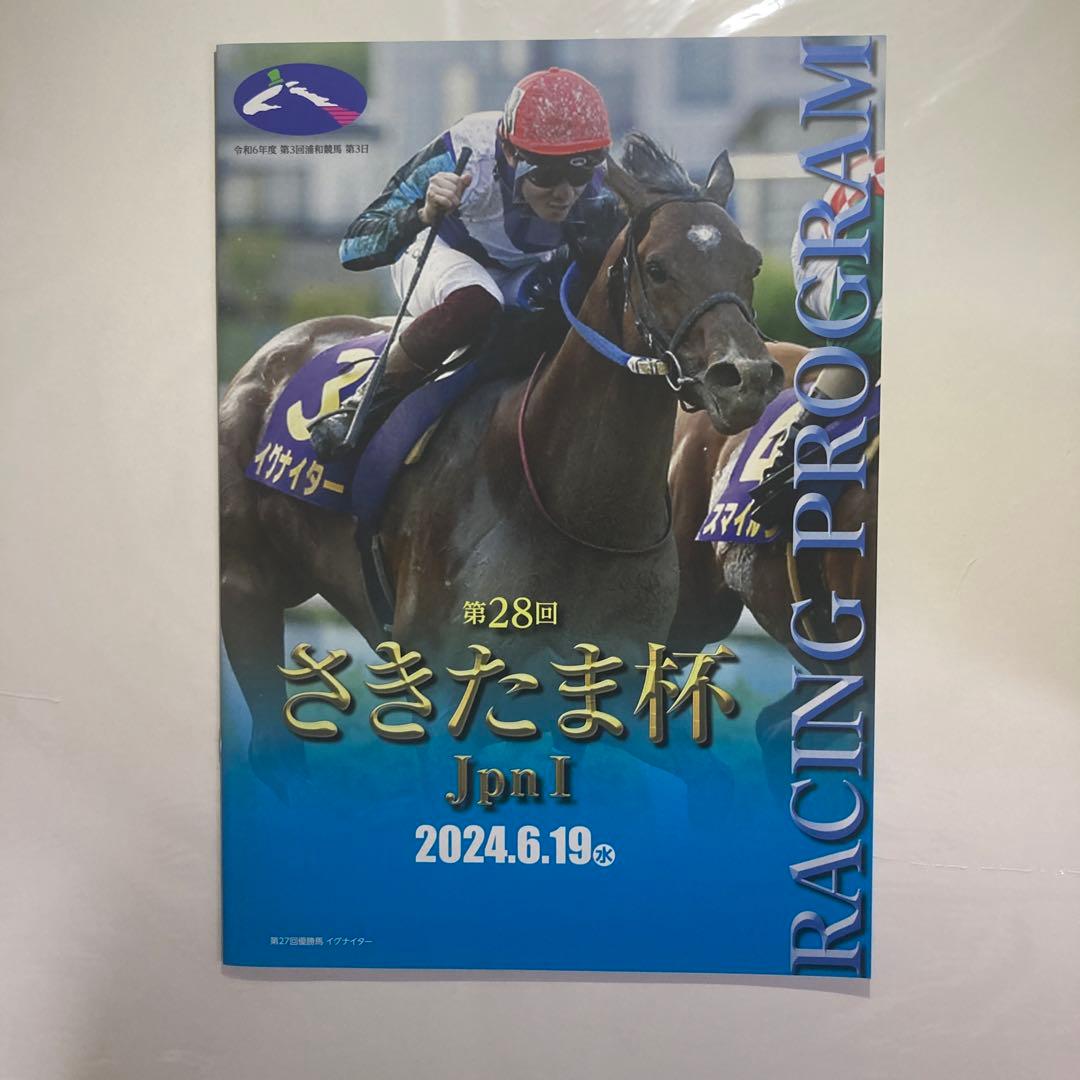 レモンポップ さきたま杯現地馬券 パンフレット フェブラリーS応援馬券 セット
