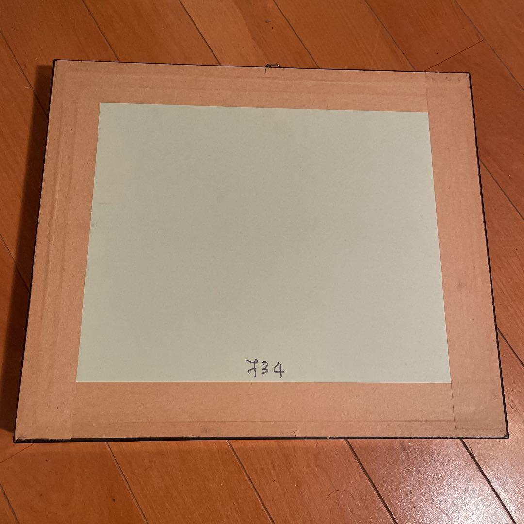 昆虫標本 一式