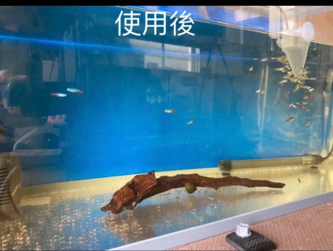20kg業者様愛され高品質ろ材 納豆菌多孔質パワーボール20kg即時発送送料込み