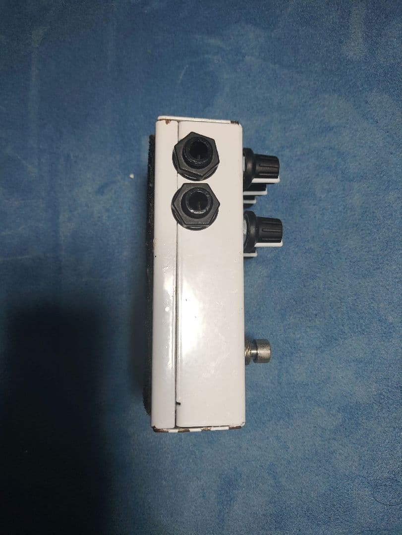ギター AMT S1