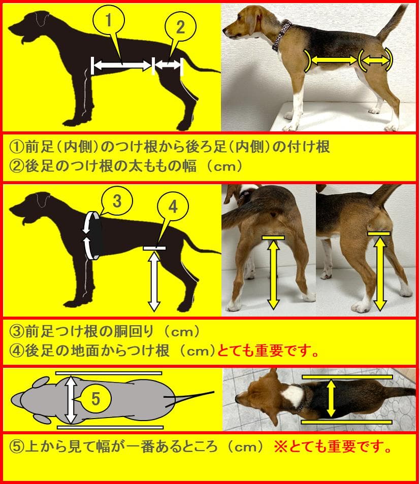 犬用車椅子、ミニュチアダックス用車椅子4輪車、犬の車椅子
