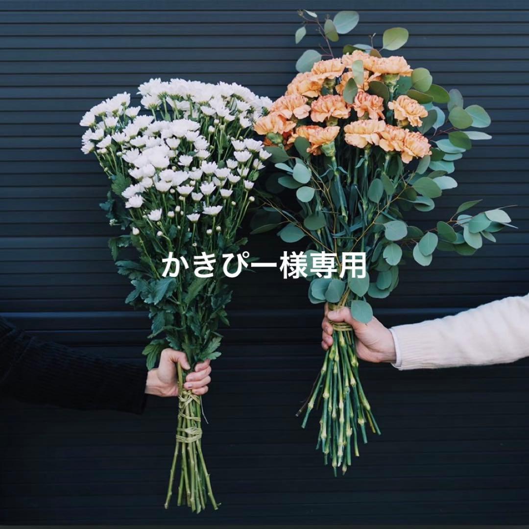 かきぴー