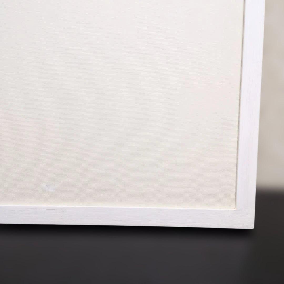 momo AG11 F10 油絵用額縁　キャンバス用額縁