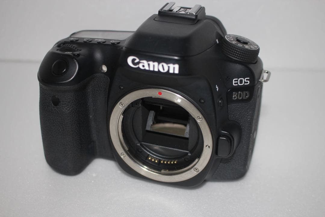デジタル一眼レフカメラCanon EOS 80D 標準&望遠ダブルレンズセット