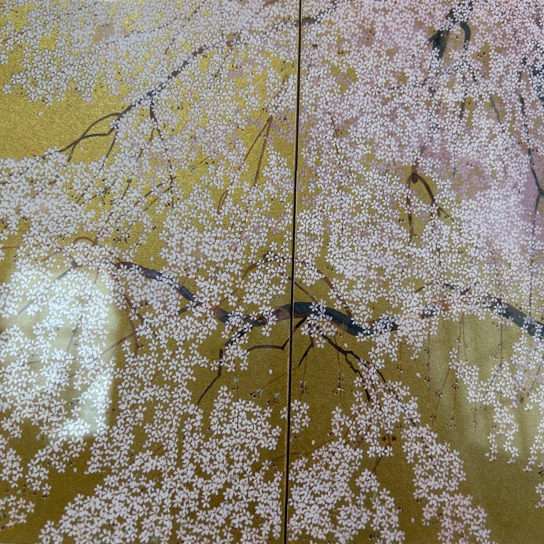 【中島千波】金色の額縁に優雅な満開の桜
