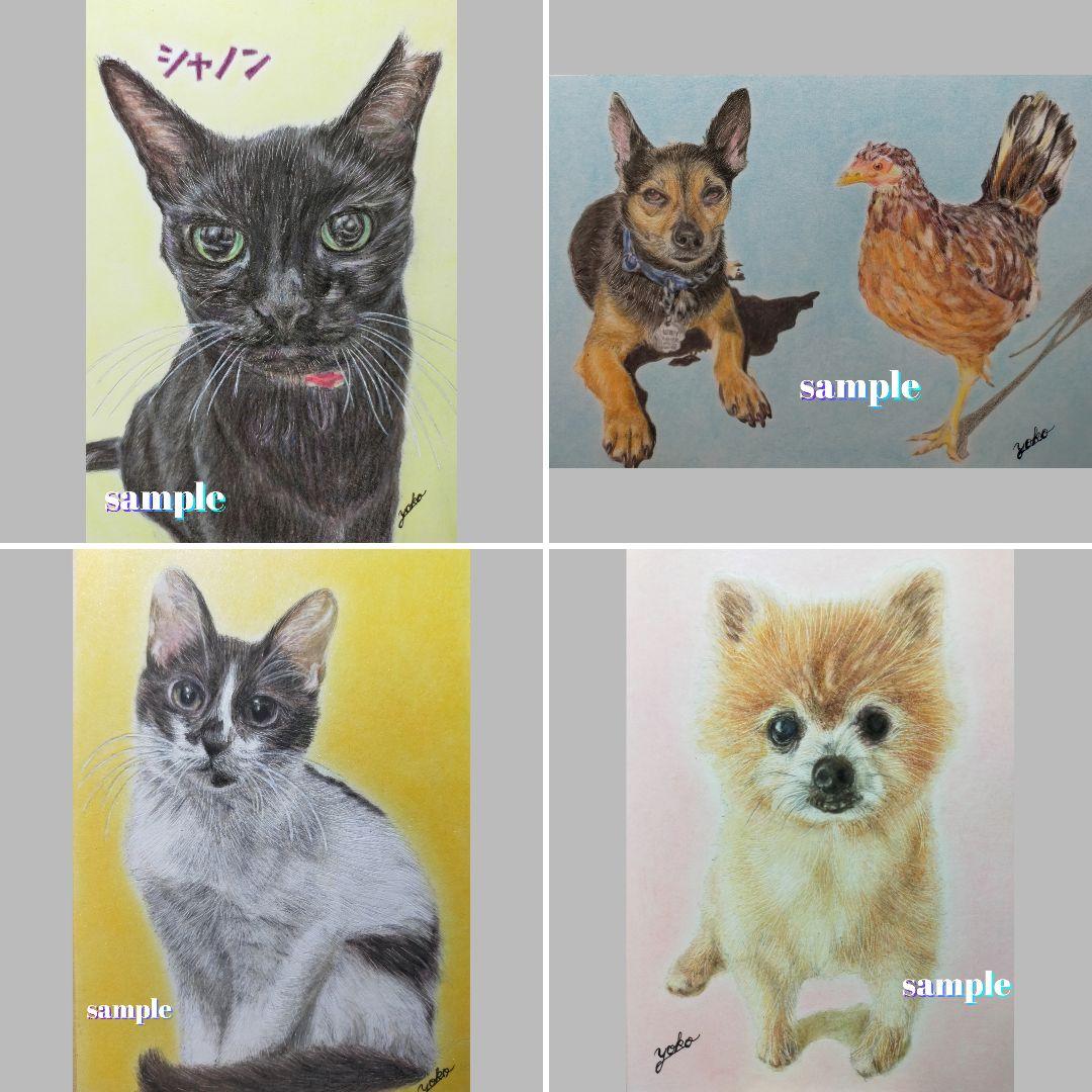色鉛筆画✭愛猫愛犬✭ペット似顔絵　肖像画　イラスト　注文オーダー　受付ページ　1