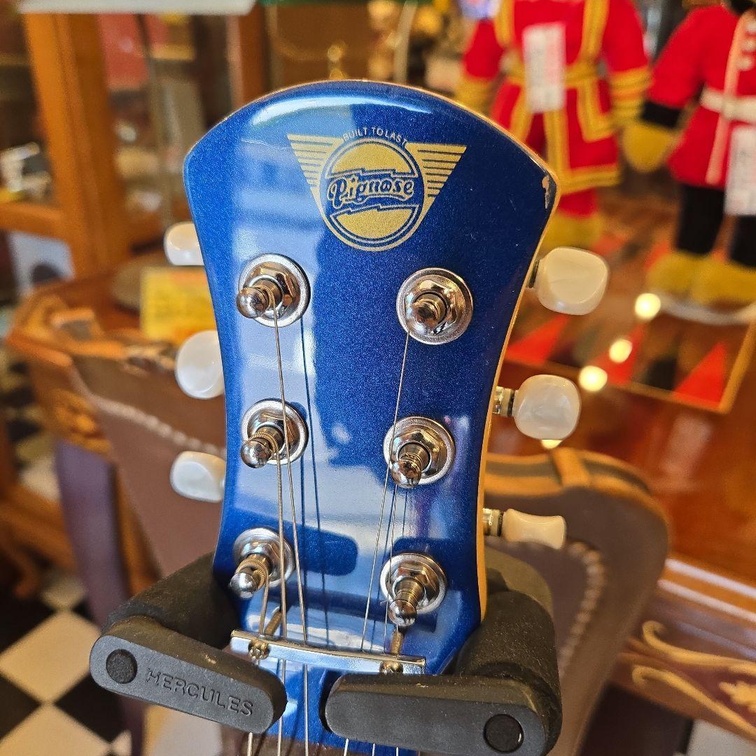 Pignose PGG-200 アンプ内蔵 ミニギター 訳あり　ピグノーズ