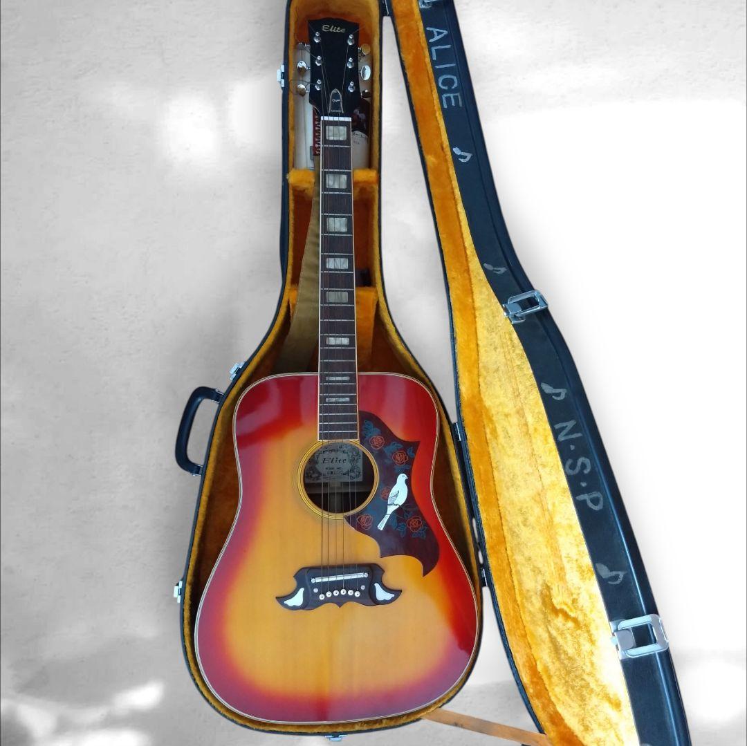 アコースティックギター　EliteTAKAMINEGAKKI HM200