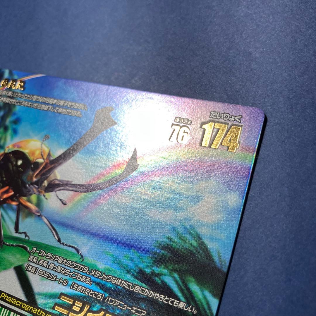 甲虫王者ムシキング　アダー完結編　レインボー　ニジイロクワガタ　オレンジ　１枚
