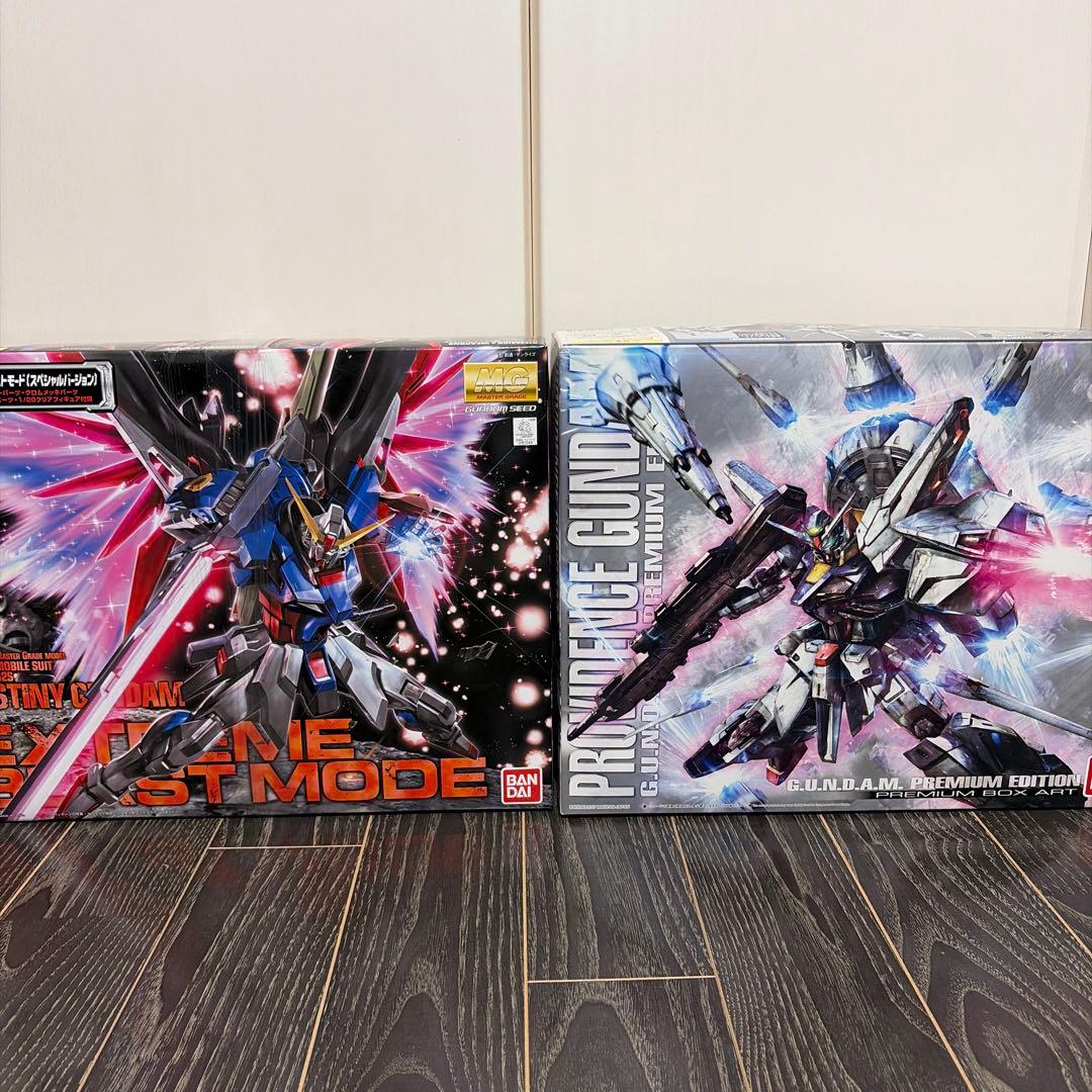 【特装版ＭＧガンプラ2点セット】プロヴィデンスガンダム&デスティニーガンダム