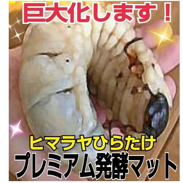 極上！プレミアム3次発酵ヘラクレスマット【50L】特殊アミノ酸強化配合！産卵にも
