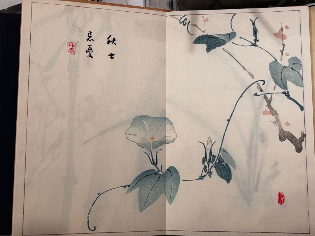 【美品】絵画集 丹青一斑 全5巻 芸艸堂発行