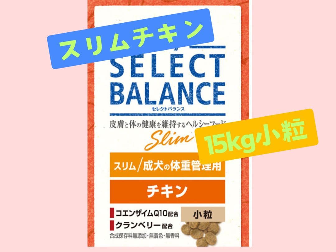 まこと①