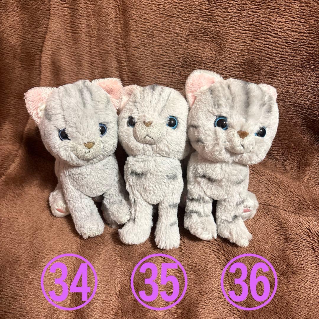 【大量】にゃんこだけ！ぬいぐるみセット【まとめ売り】