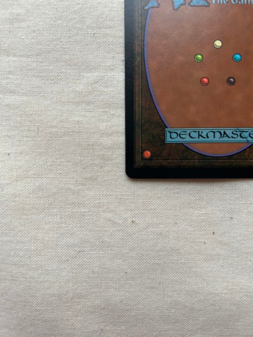 直観 MTG