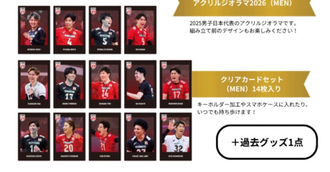 【年内セット販売】【限定】JVA バレーボール男子日本代表　福袋2026