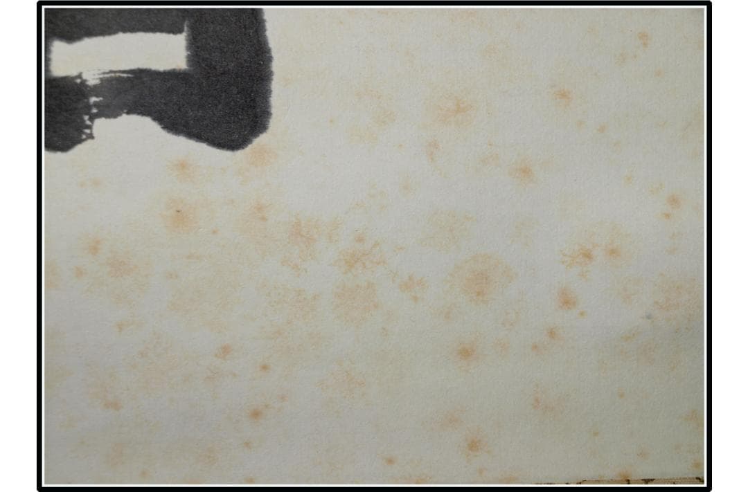 解体屋委託品　日本江戸時代肉筆掛け軸　02希少※激安骨董品 X1043C15-1