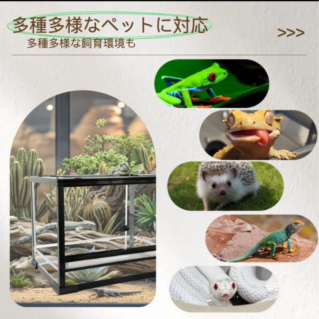自社製 組み立て式 爬虫類両生類飼育ケージ、ガラス飼育ケージ60x30x30cm