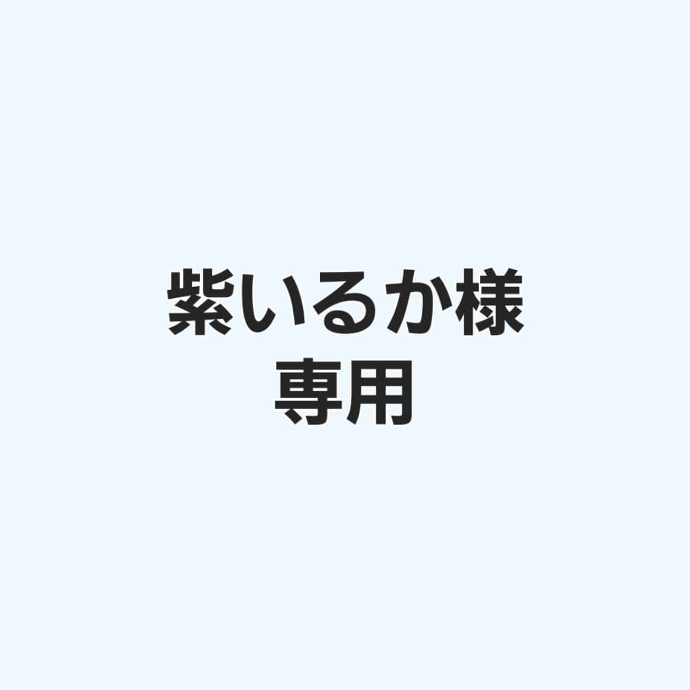 紫いるか