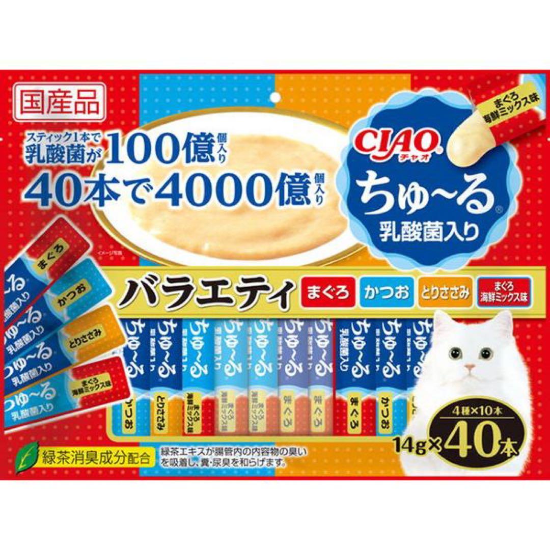 ポムの樹　6点セット