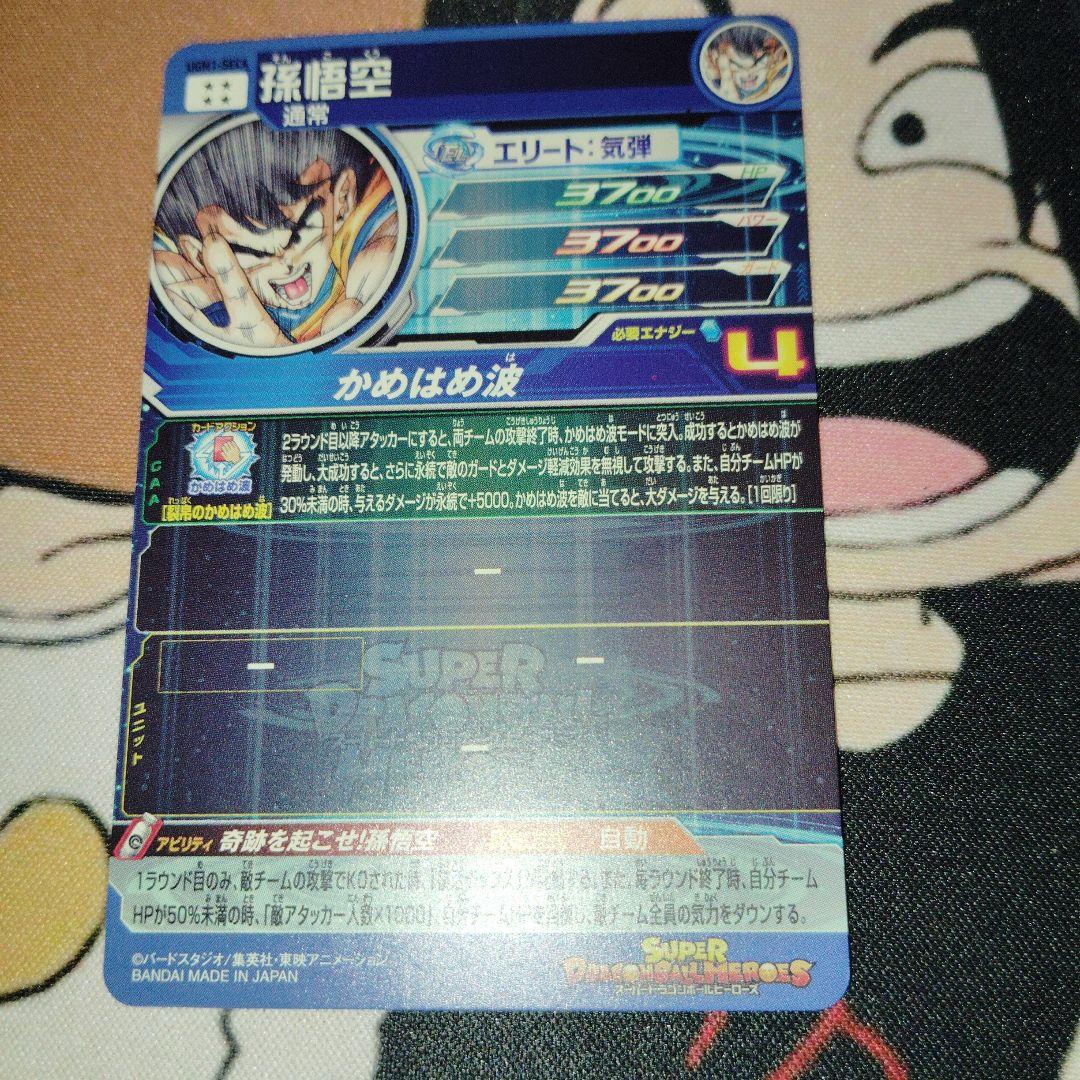 UGM1-SEC4孫悟空