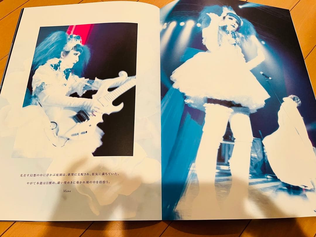 レア　MALICE MIZER Gardenia パンフレット