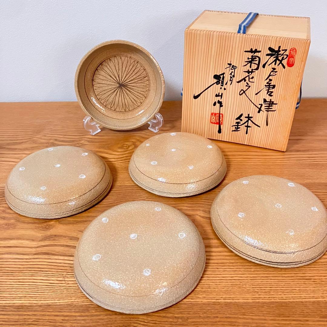 瀬戸唐津　菊花文　鉢　皿　5枚