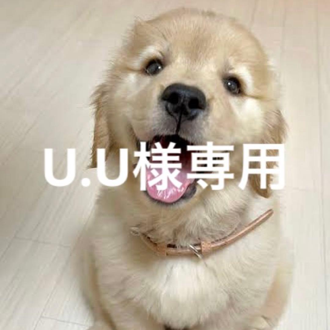 アイドル 123456