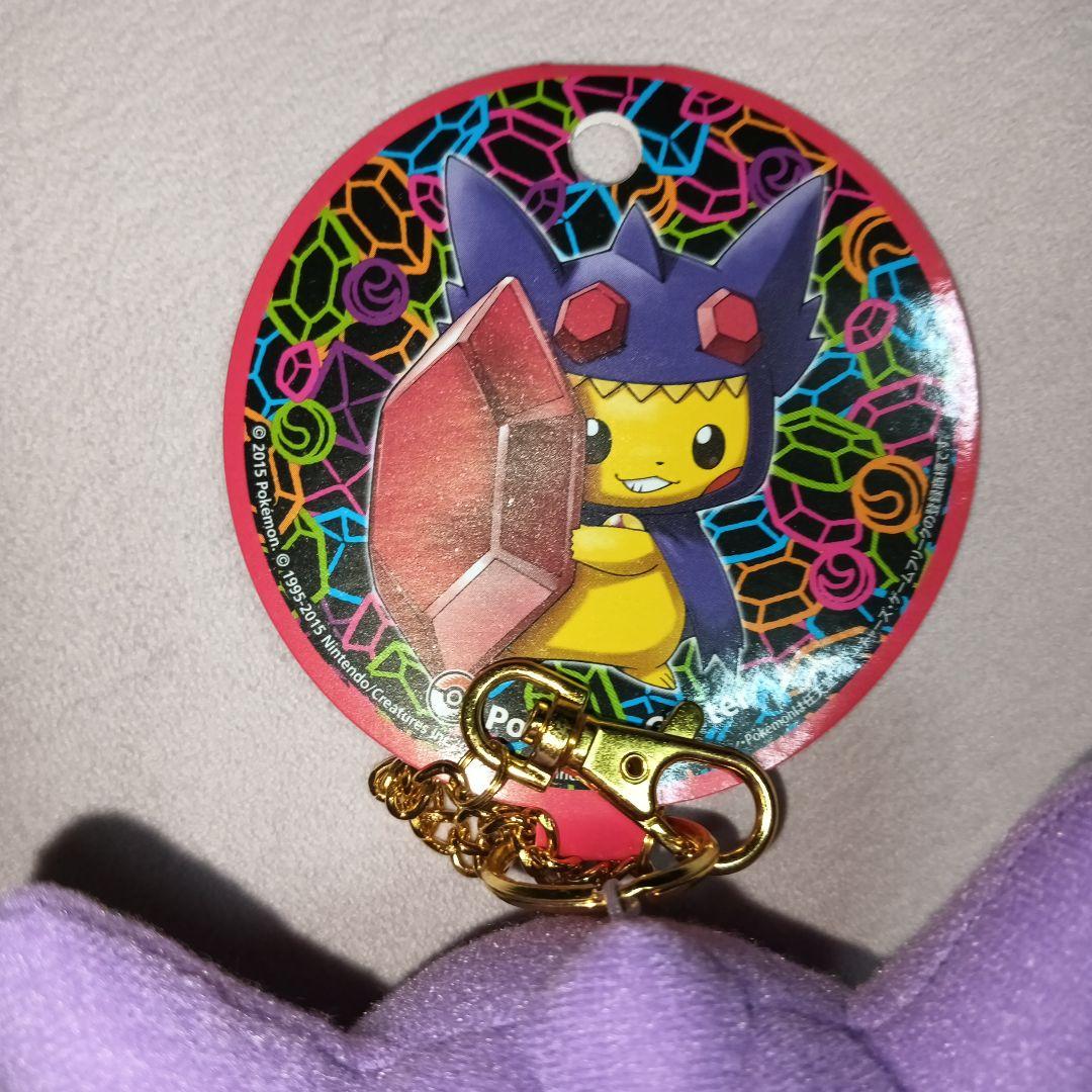 メガヤミラミポンチョを着たピカチュウ ぬいぐるみマスコット ポケモンセンター