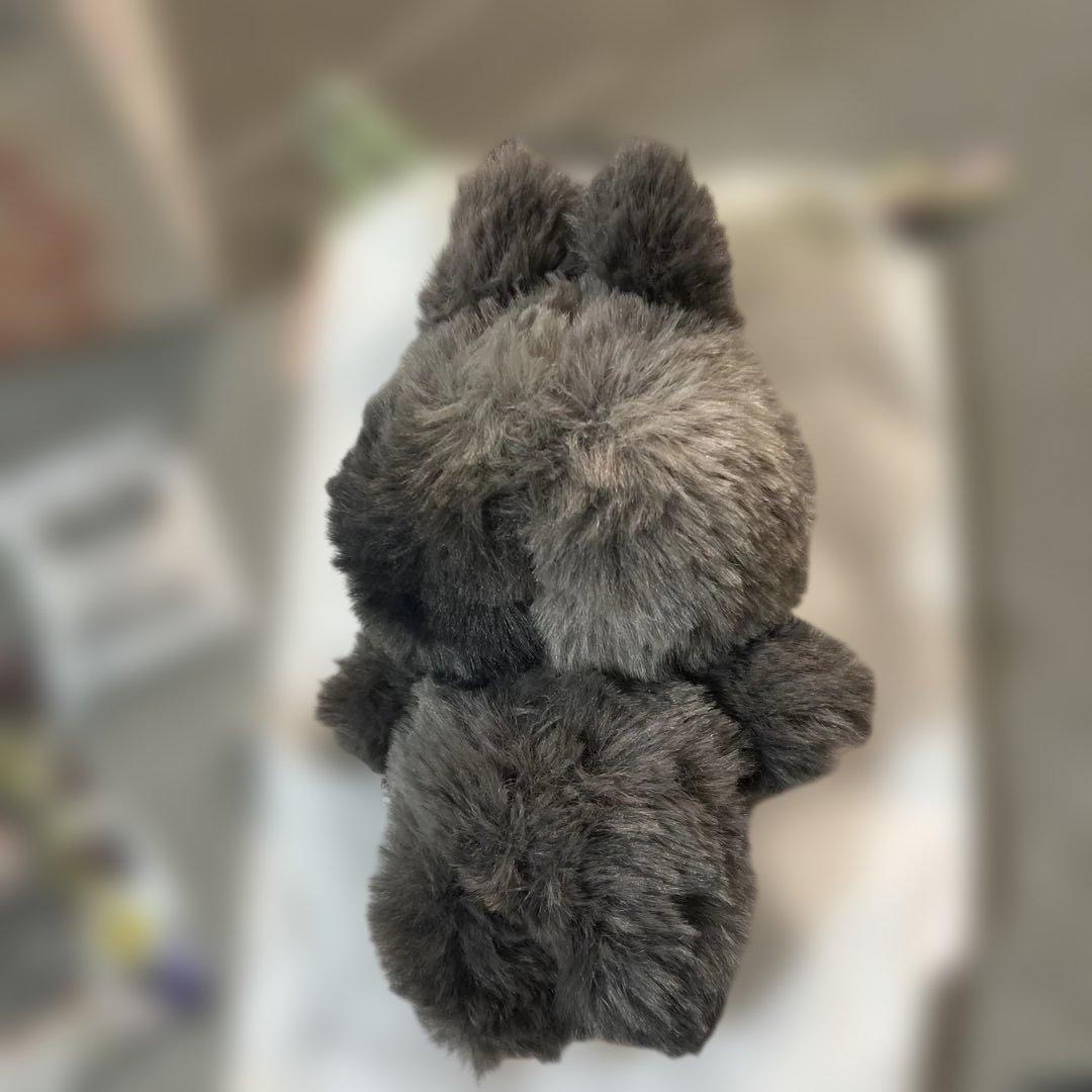 【即購入可】【新品正規品】LABUBU ラブブ エナジー シークレット