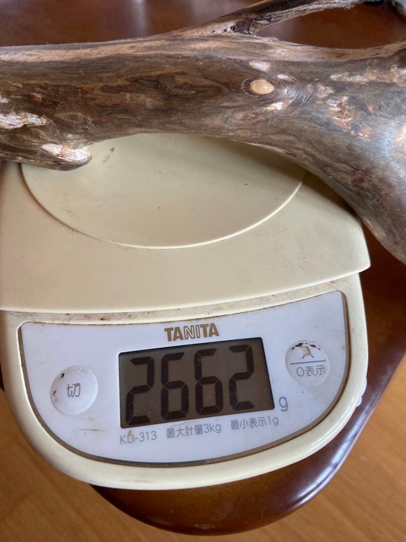 海松　深海松