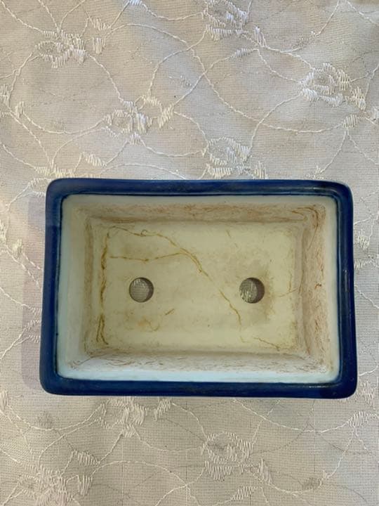 松泉　盆栽鉢