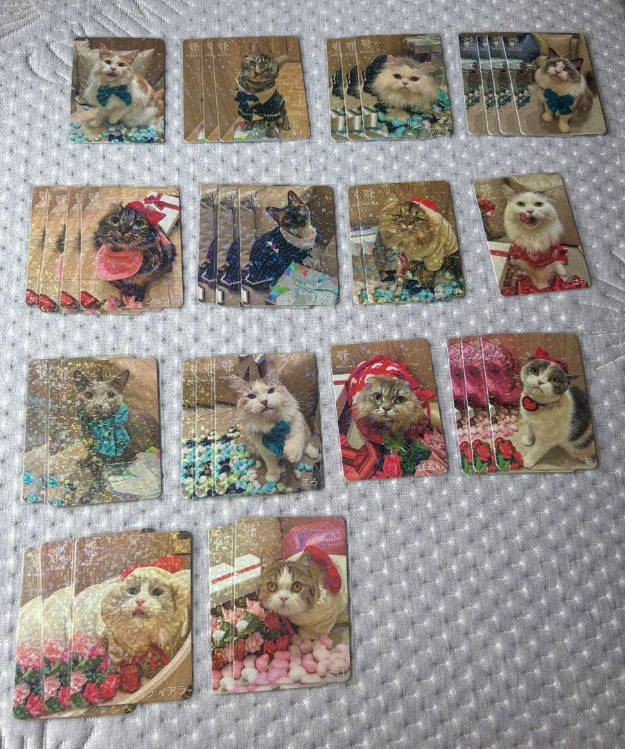 猫カフェmocha にゃんずトレカ どきどきバレンタイン 羽生店